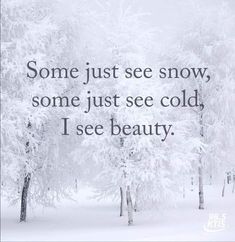 trees in the snow with a quote on it that says, some just see snow, some just see cold i see beauty