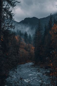 a river running through a forest filled with trees under a cloudy sky and mountains in the distance