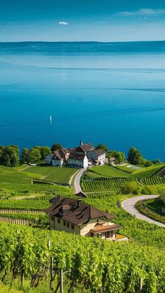 (11) Startseite / X Beauty Of Switzerland, Beautiful Switzerland Nature, Best Places To Travel In The World, Most Beautiful Places In The World, Switzerland In September, Switzerland September, Europe In September, Switzerland Wallpaper, Things To Do In Switzerland