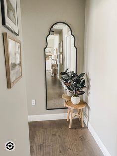 there is a mirror on the wall above a stool with a potted plant in it