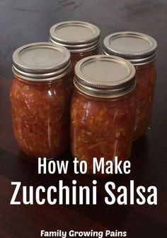 how to make zucchini salsa family growing plains