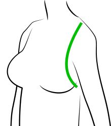 the outline of a woman's breast and side view