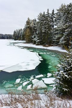 an icy river surrounded by trees and snow