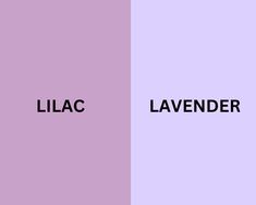 lilac and lavender with the word lilac in black on top of each other