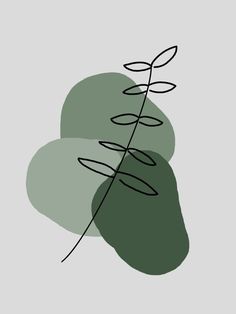 two green leaves on a gray background