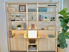 a wooden shelf with books and other items on it next to a potted plant