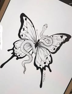 a drawing of a butterfly on a piece of paper