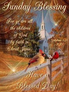 an image of two birds on a fence with the words sunday blessing for you are all the children of god by faith in christ jesus