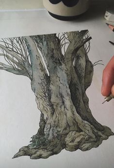 someone is drawing a tree with pencils on paper