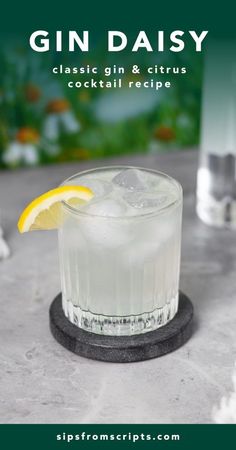 Drumshanbo Gin Cocktails, Hendrix Gin Cocktails, Gin Daisy Cocktail, Roku Gin Cocktail Recipes, Gin Cocktail Recipes Easy, Hendricks Gin Cocktails, Gin Daisy, Daisy Cocktail, Classic Gin Cocktails