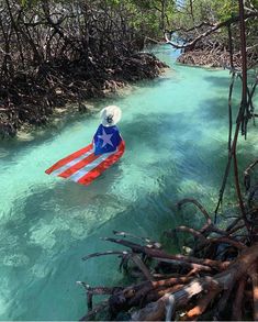 a person in a boat with an american flag painted on it floating down a river