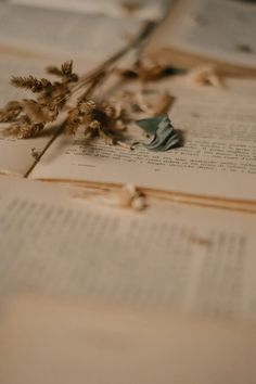 an open book sitting on top of a table next to dried flowers and bookshelves