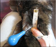 a person measuring the length of a cat's fur with a tape measure stick