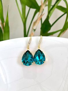 pair of blue crystal earrings sitting on top of a white plate next to green plants