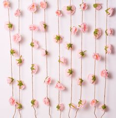 pink flowers are arranged on the side of a white wall