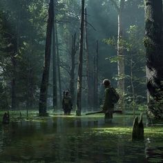 two people walking through the woods in front of some trees and swampy area with water