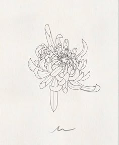 a line drawing of a flower on a white paper with a black pen in the middle