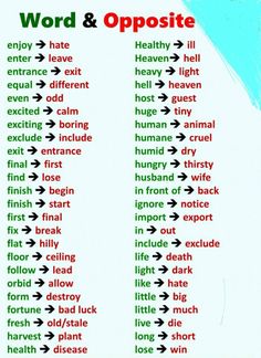 words that are in the same language and have different faces on them, including one with an