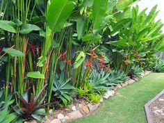 an outdoor garden with lots of plants and rocks