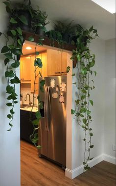 a kitchen with a refrigerator covered in plants