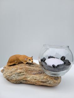 Rock candle holder  Mountain Lion resting on a beautiful Basalt rock next to a glass bowl. This design is versatile. candle, floating candle, candy dish, succulent plant, lights, potpourri etc. candle not included. Rock Oil Candle, Glass Bowl With Rocks, Rock Candle Holder, Rock Candle, Basalt Rock, Floating Candles, Potpourri, Candy Dishes, Glass Bowl