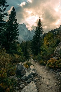 a trail in the mountains with trees and rocks