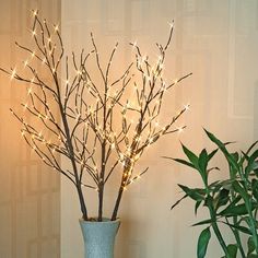 a vase with some lights on it next to a potted plant in front of a wall