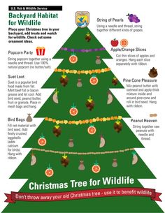 the christmas tree for wildlife info sheet