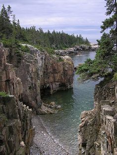 the water is crystal blue and clear at this rocky cliff side area with trees on both sides