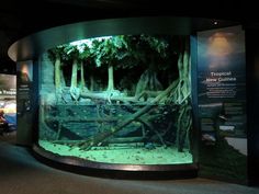 an aquarium with trees and water inside of it