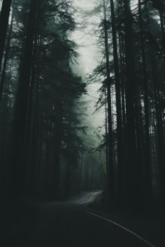 a dark road in the middle of a forest with lots of trees on both sides