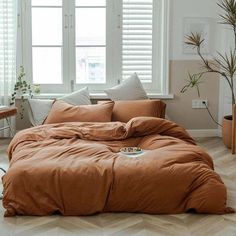 an unmade bed in front of two windows with shutters on each side and a potted plant next to it