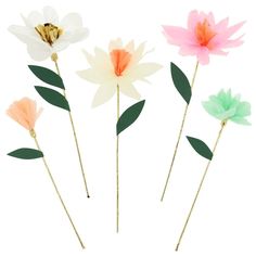 four different colored flowers on sticks with green leaves in the middle and one pink flower at the end