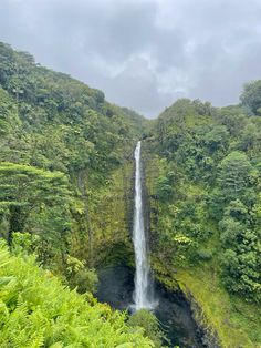 a large waterfall in the middle of a forest