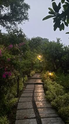 a stone path surrounded by lush green trees and bushes at dusk with lights shining on the walkway