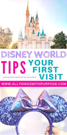 the disneyland world tips your first visit