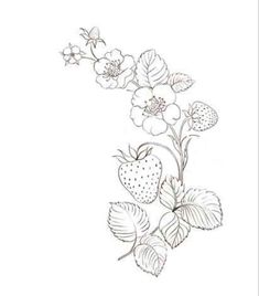 a drawing of strawberries and flowers on a white background