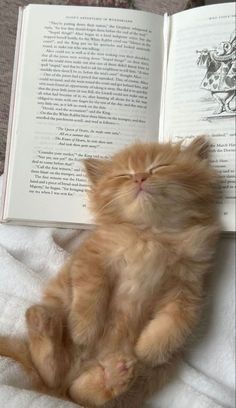 an orange kitten laying on top of a bed next to an open book with its eyes closed