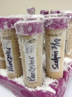 three tubes filled with liquid sitting on top of snow covered ground