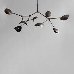 Stingray Chandelier, Grande - Bronze Chandeliers 101 Copenhagen Stingray Fish, Starburst Light, 101 Copenhagen, Copenhagen Design, Drop Lights, Black Ceiling, Led Dimmer, Ceiling Canopy, Steel Rod