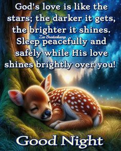 a deer laying on the ground next to a tree with an inspirational quote about god's love is like the stars, the darker it gets, the brighter it shines