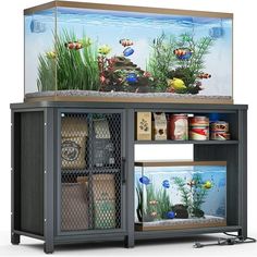 an aquarium with many different types of fish and algaes in it, sitting on top of a shelf