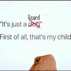 a lizard with the words lizard it's just a dog first of all, that's my child