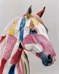 a painted horse with an american flag on it's face and mane, standing in front of a gray background