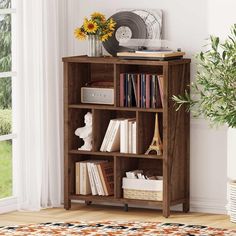 a book shelf with books, magazines and other items on it next to a potted plant