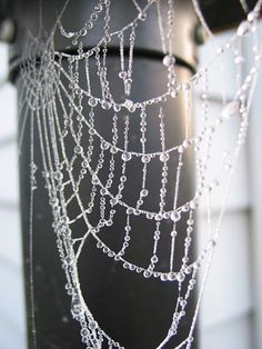 raindrops are hanging from the side of a lamp post