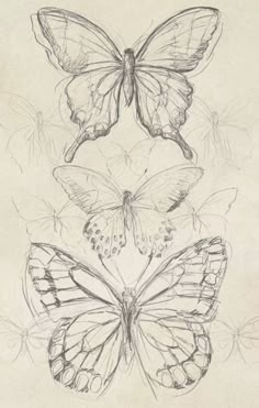 three butterflies sitting on top of each other in the middle of a drawing with black ink