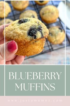 blueberry muffins on a cooling rack with text overlay reading blueberry muffins