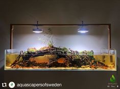 an aquarium filled with water and plants in it's sidewall, next to two lights