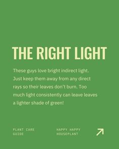 the right light quote on green background